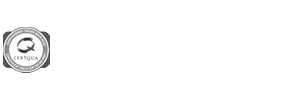 Vfs diakonisches Werk
